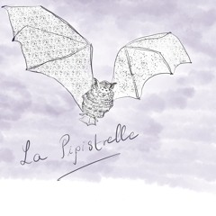 La Pipistrelle