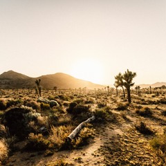 TRIPPY DESERT Prod. by WiiLow