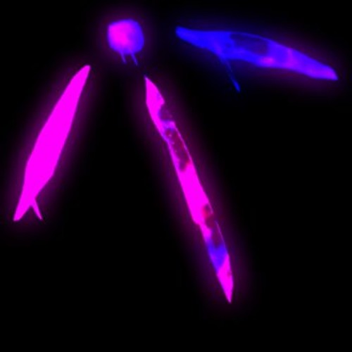 POSSESSION- TAG Underground [Original Extended Mix]