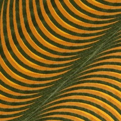 Drakma Queen (Lyssna Rec)