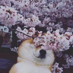 KIRBY - IDONTGIVEAFUCK (demo)