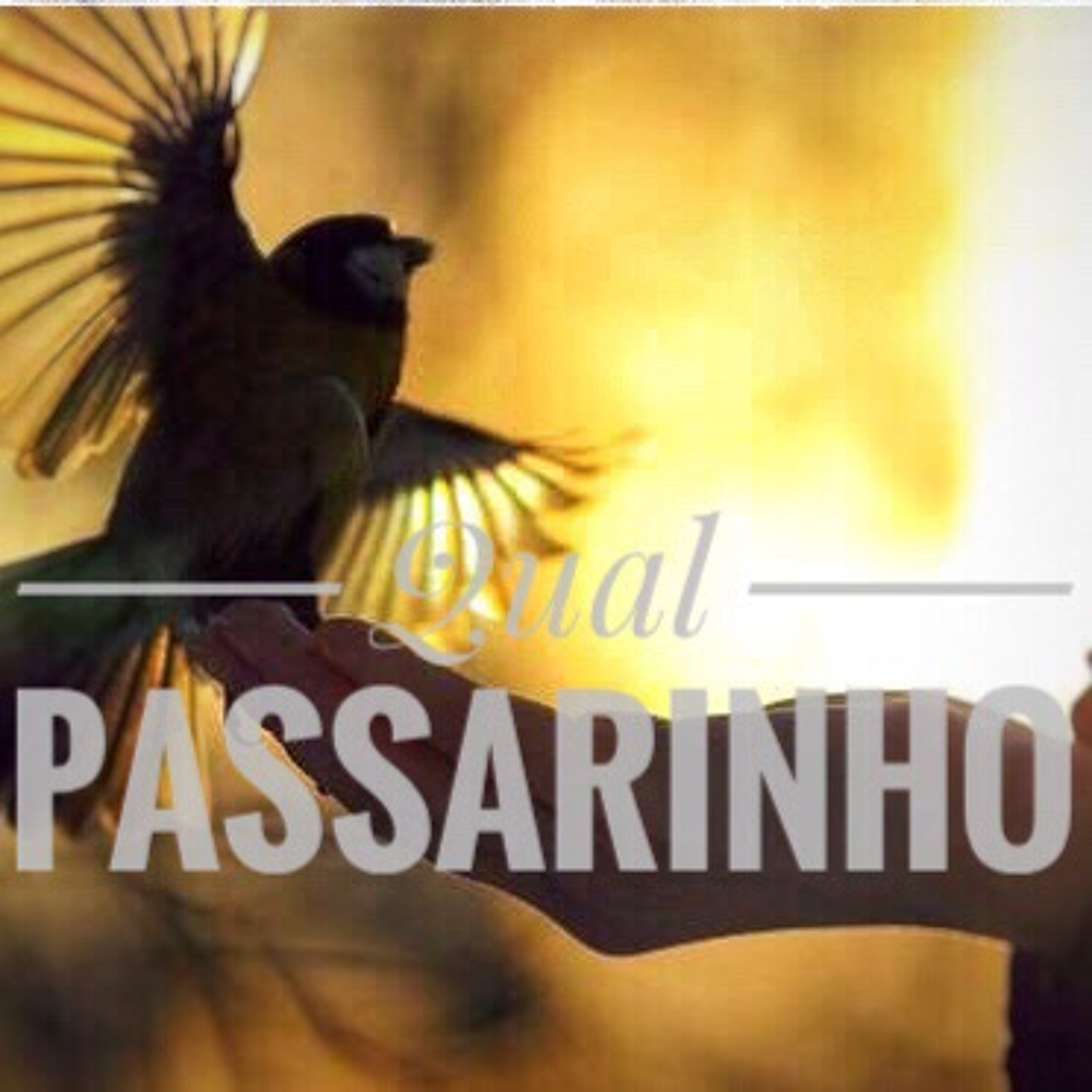 Para Dowload dos Hinos 11 953903947