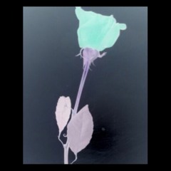 Hevan X Daedrico - Static