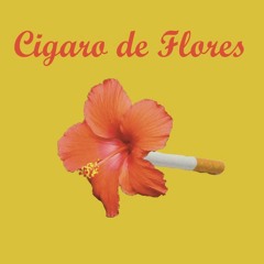 Cigaro De Flores (Music Video IS OUT NOW) [LINK IN DESCRIPTION]