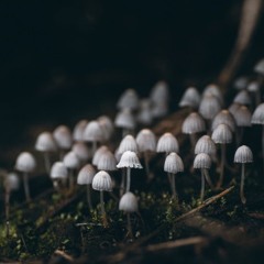 SPENCERBERLIN (BACK AWAY SLOWLY) PROD: $AVAGEKOZ