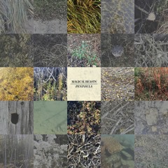 Peninsula Full Stream