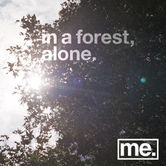 In A Forest, Alone.
