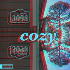 Cozy (Nigel Rivers X Litty) [prod. Zeu$]