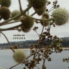 Cambio de Jugada
