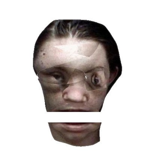 Misnomr - Bot