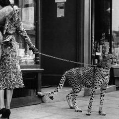 ($uicideboy$ type beat) - Back Seat (prod. Flaco Casanova)