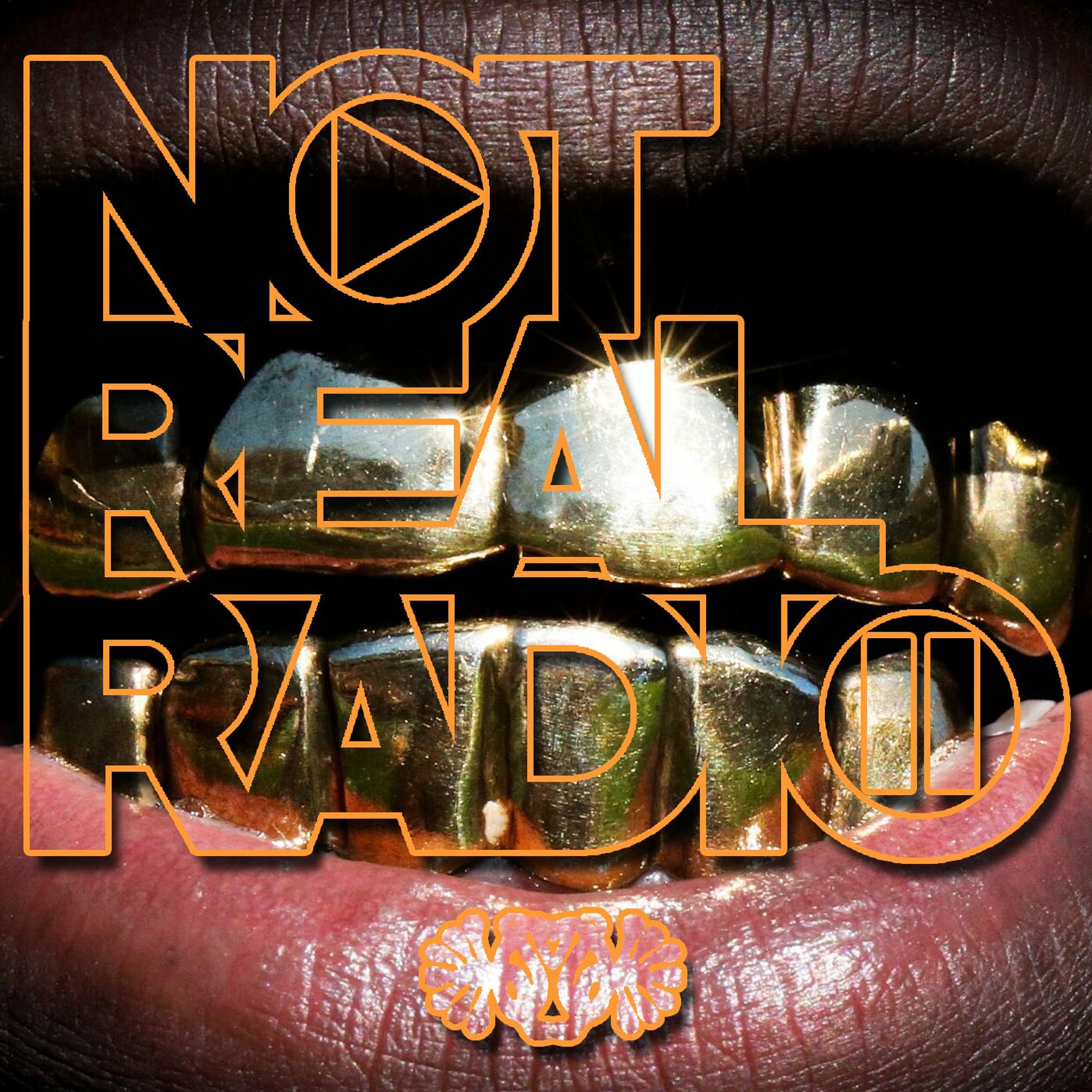 Not Real Radio