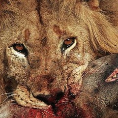 Hungry Niggas Never Starve