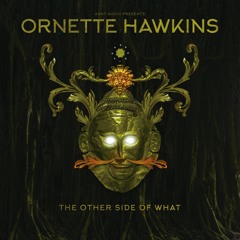 Ornette Hawkins - "Raw Sun (Submorphics '95 Remix Featuring T.R.A.C.)"
