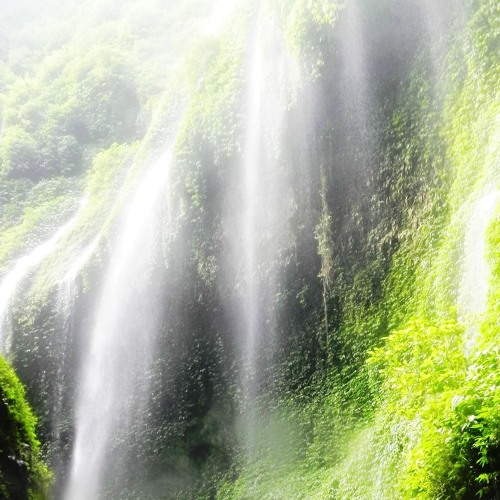 Iksan Skuter - Bingung (Live Visualreport)