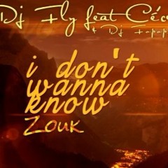 Dj Fly Feat Cé'cile & Kalash - I Don't Wanna Know ( Version Zouk By Dj Fopop )