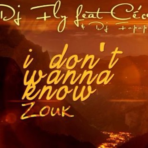 Dj Fly Feat Cé'cile & Kalash - I Don't Wanna Know ( Version Zouk By Dj Fopop )
