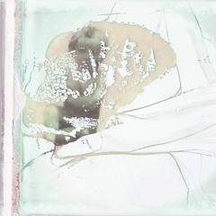 Ashmute EP [01] Preview