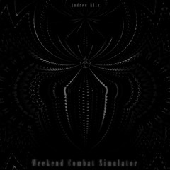 Andrew Ritz - Weekend Combat Simulator