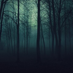 From The Darkness With Love - (Forest/Dark Psytrance Set 152bpm)