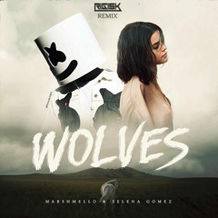 Marshmello & Selena Gomez - Wolves (Rigisk Remix)