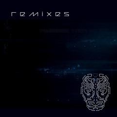 Remixes