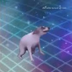 2017 TILL YOURE DEAD