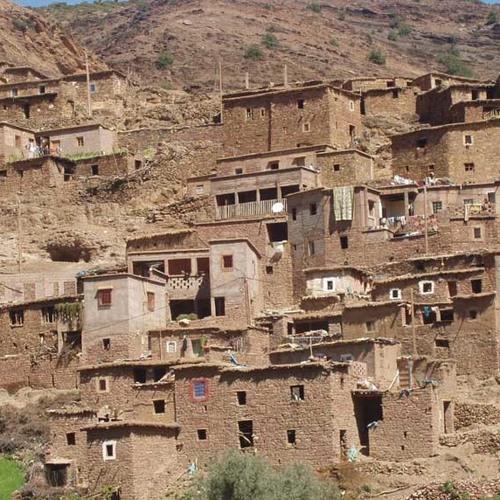 12 berbers