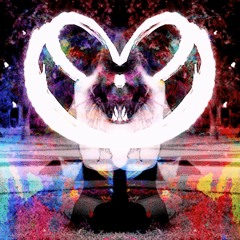 Y - "AlchemicaLove" LIVE