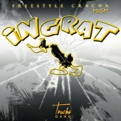 Ingrat (FreestyleCracha)