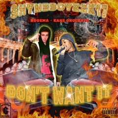 DON'T WANT IT ft. Kane Grocerys