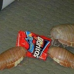 Isopod Noises (Intro)