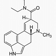 Mental/tribe/acid 26