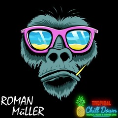 Roman Müller - Come Around