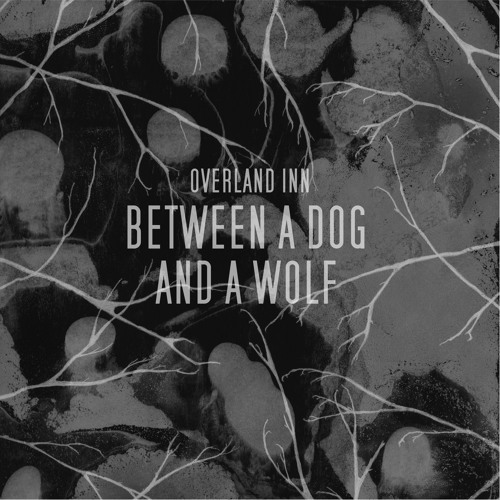 Between a Dog and a Wolf (2016)