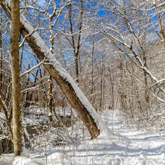 mohican state park,winter hike,hiking along hemlock trail,rapids to my right