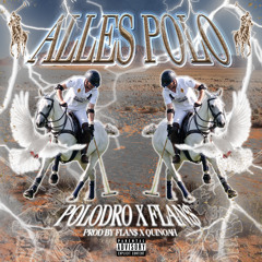 POLODRO X LIIL FLAN$$$$ - ALLE$ POLO (PROD. BY FLAN$ X QUINOAH)