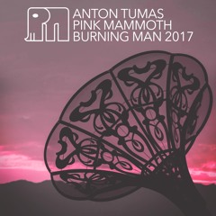 Anton Tumas - Pink Mammoth - Burning Man 2017