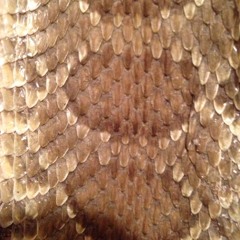 Even though we played Games