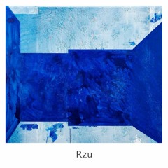 RZU333 (Prod.Rzu)