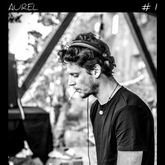 Aurel Januar #1