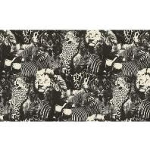 the jungle in my brain - KymaTek:Nixe