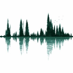 The Forest