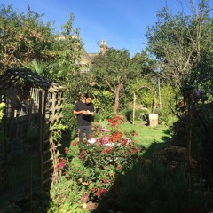 If We Go Down, We Will Go Together!(Cover)