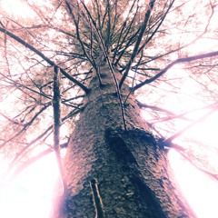 Din värme - Gabriella Hansson tolkar Karin Boye