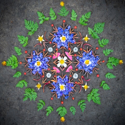 Divine Vibrations Feat. Nina Grae