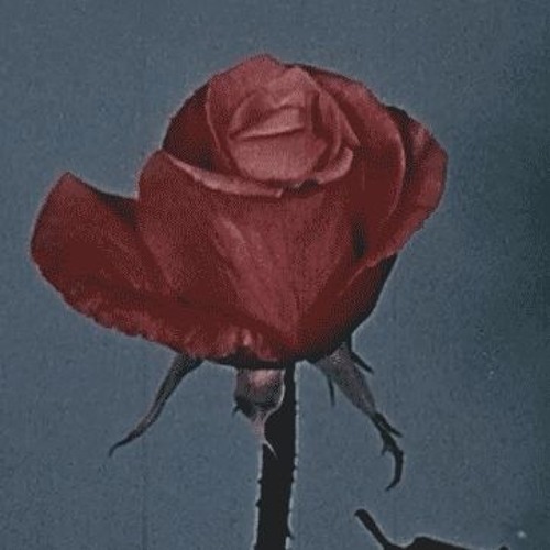 ugly021