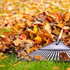 English Listening Level 1 - Lesson 11 - Cleaning Up Leaves