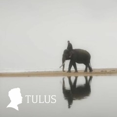 Tulus - Gajah (Fingerstyle Guitar Cover) - isahbela