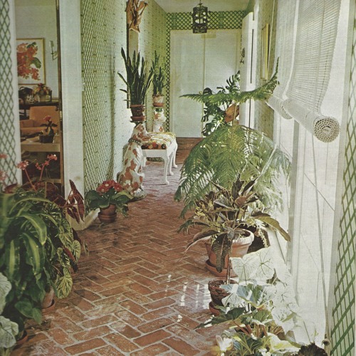 houseplant loop